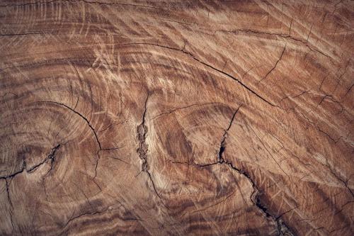 wood (1)